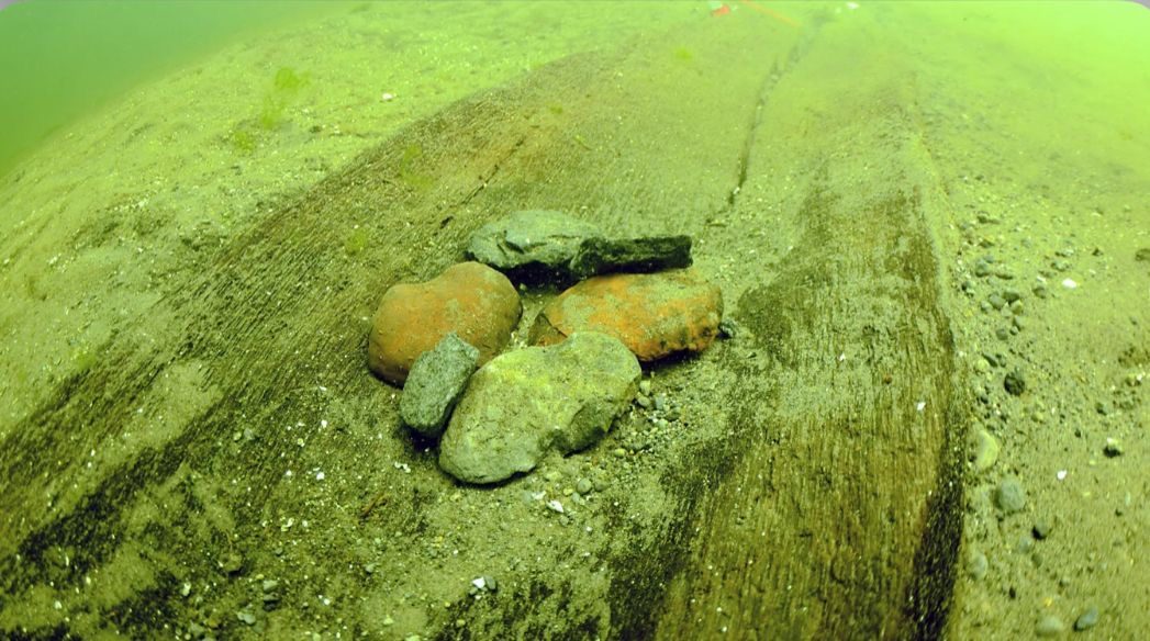 ABŞ-də piramidalardan daha qədim kəşf: 5200 illik qayıqlar tapılıb 