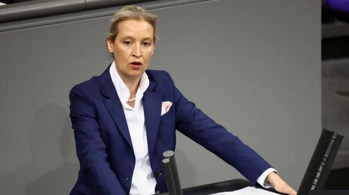 AfD “ekstremist” adlandırılmasına qarşı məhkəmə qadağasını qələbə elan edib
