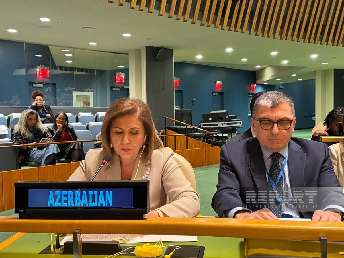 Bahar Muradova BMT-də Türk Dövlətləri Təşkilatı adından çıxış edib