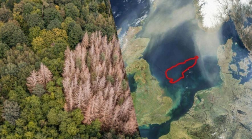 “ABŞ Hörmüz boğazına nəzarəti tam olaraq İranın əlindən alacaq” - ŞƏRH