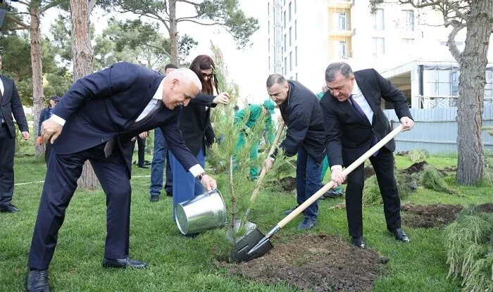 Xətaidə ağacəkmə aksiyası