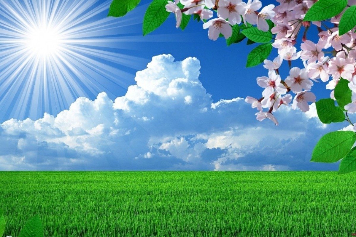 “İqlim haqqında” qanun layihəsi hazırlanıb 