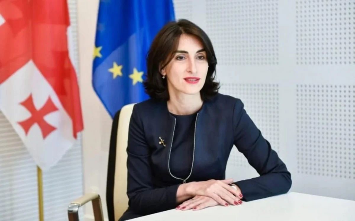 “Gürcüstan nümayəndə heyəti ilə müxtəlif formatlarda görüşlər keçiriləcək”-ŞƏRH