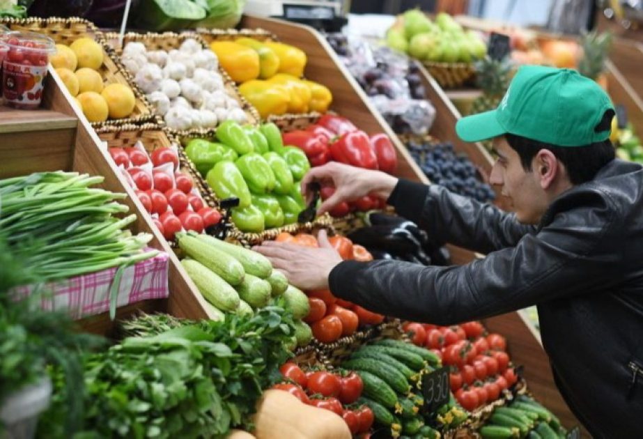 Büdcə vəsaitlərinin 3,5 faizi kənd təsərrüfatı sahəsinin maliyyələşdirilməsinə xərclənib