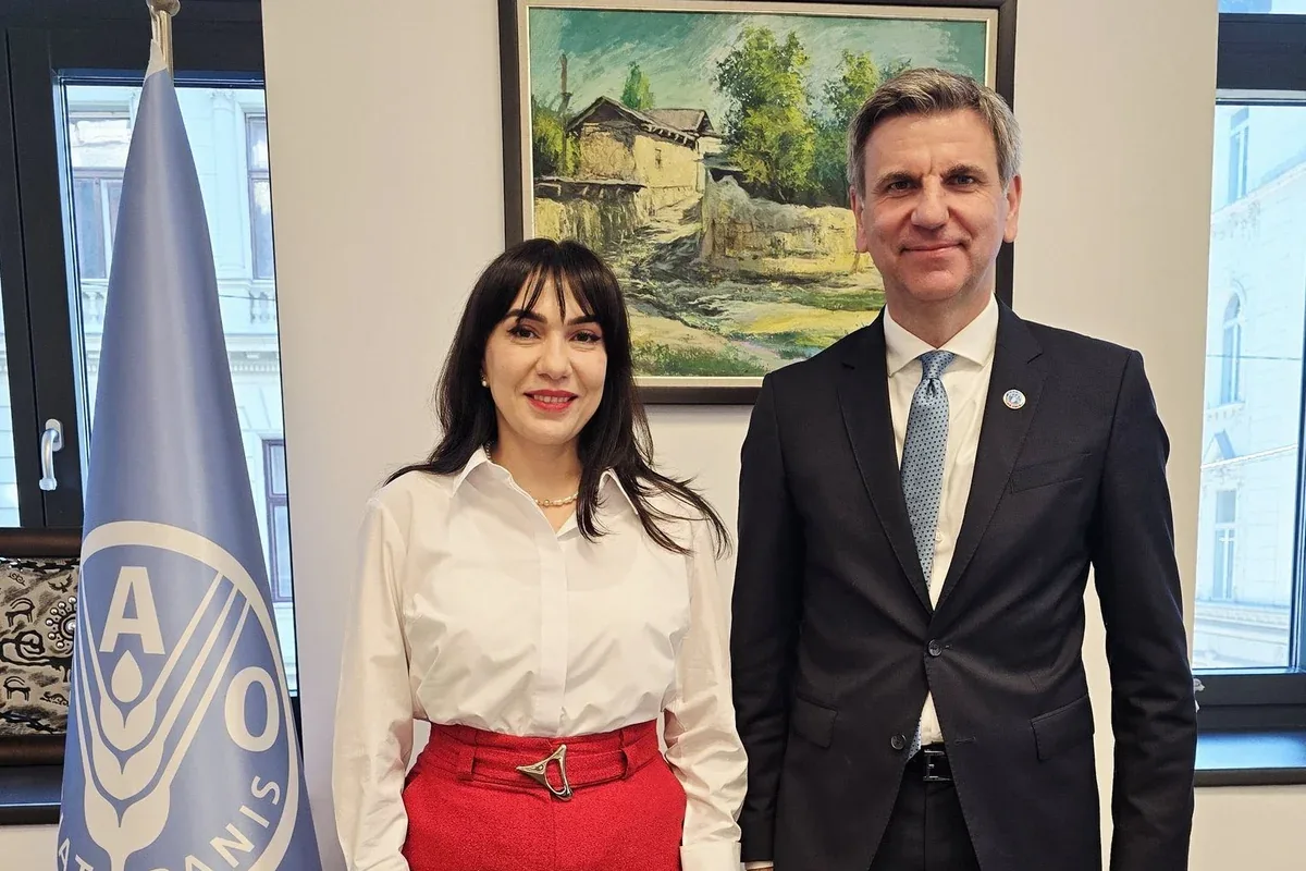 Azərbaycan ilə FAO arasında əməkdaşlıq müzakirə olunub